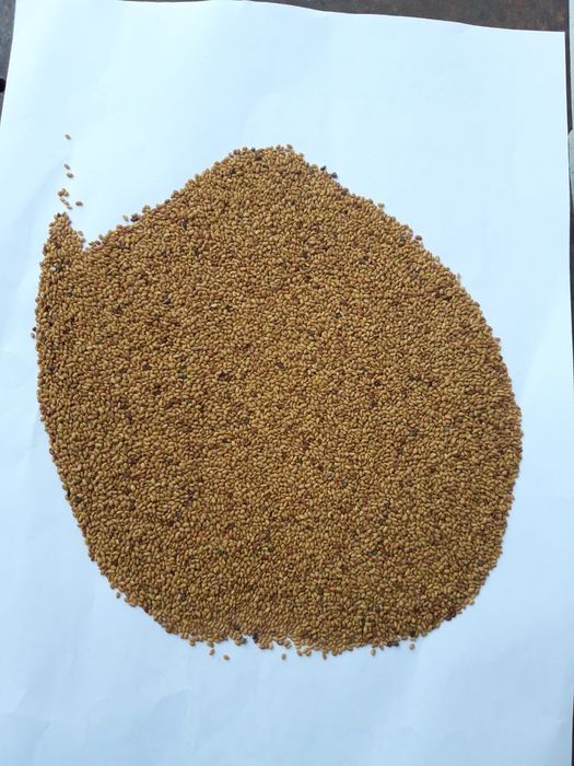 Sămânță Lucerna,Iarba,Trifoi, Mazariche, Sparceta,, Bromus