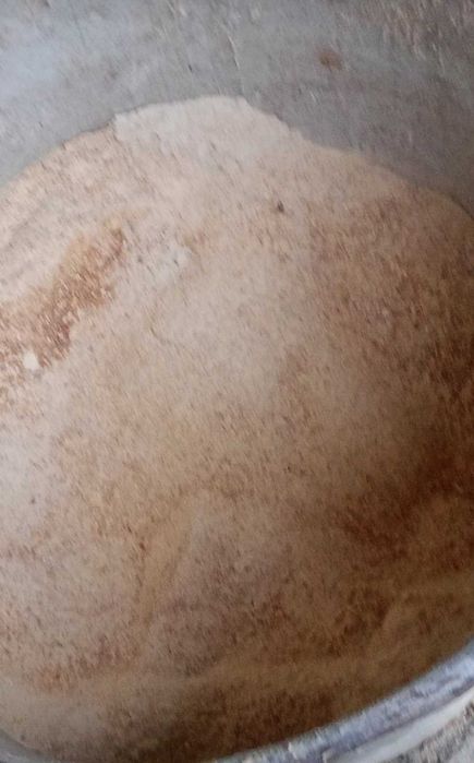 Продавам прасета