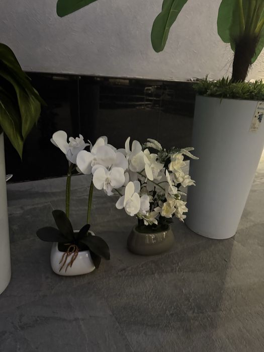 Искусственные растения, декор для дома