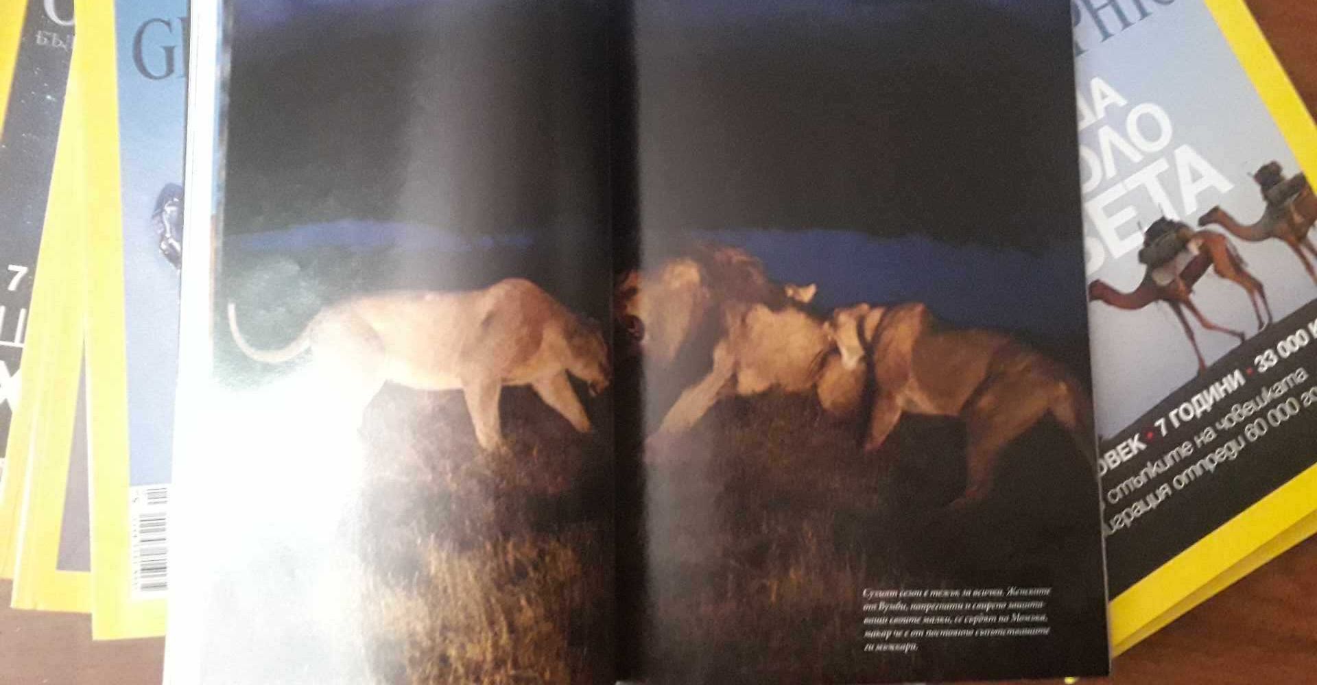 National Geographic - България, Боговете на маите, отлично запазено