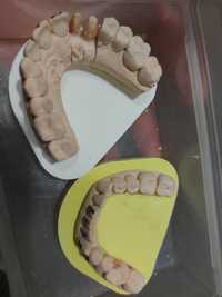 Продам модель искусственных зубов