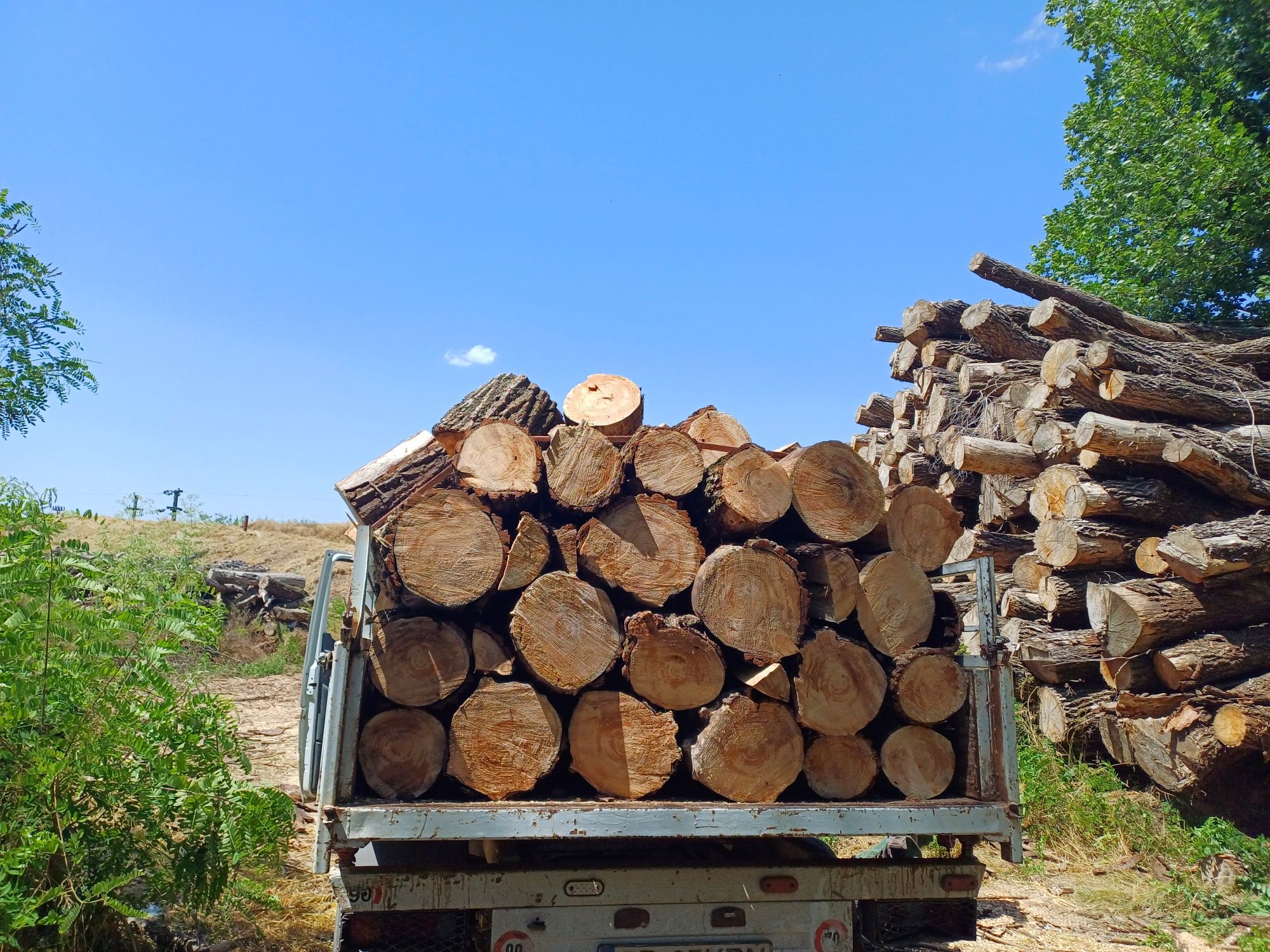 Vand Lemne de Foc de orice esenta  
Stejar 700 
Salcam 700
Plop 450
Sa
