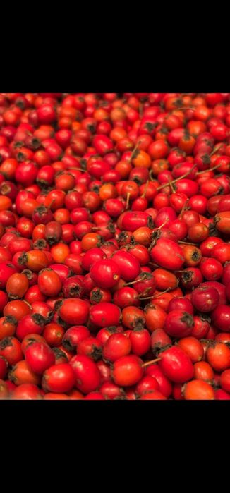 Fructe de paducel (gherghine) proaspete