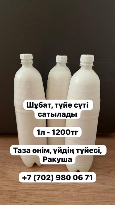 Шубат     сатылады