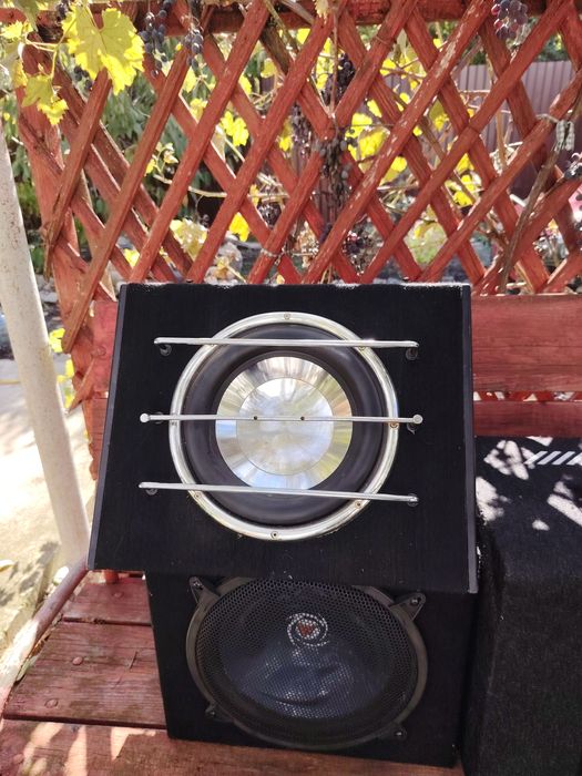 Subwoofer,amplificatoare,statii
