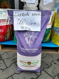 Seminte Lucerna Prima Sementi Ileana 10Kg