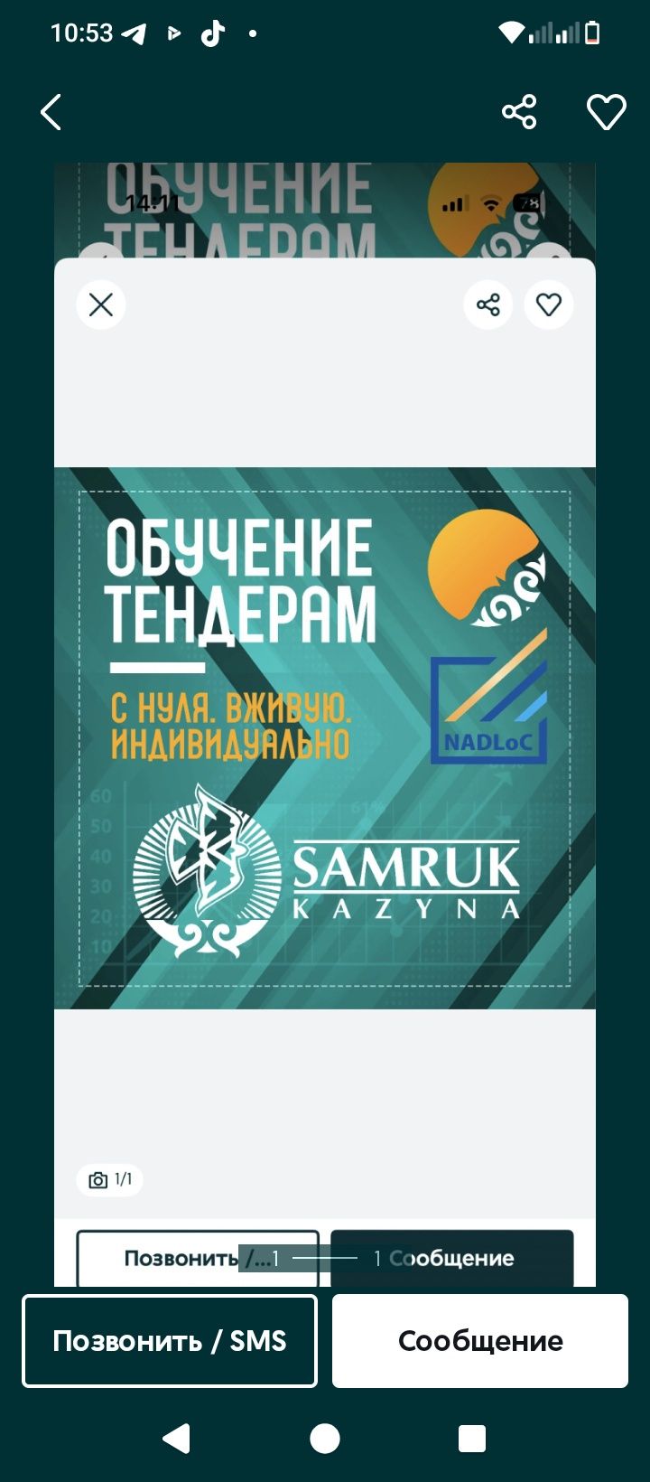Тендерден ақша табуды бастау – онлайн/офлайн оқыту