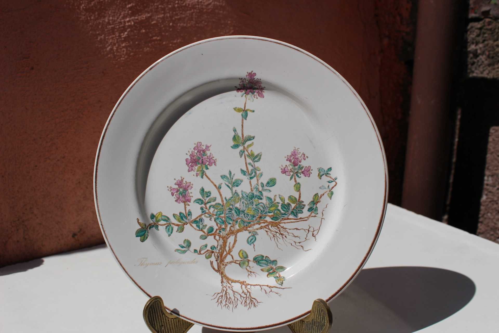 Set 8 farfurii portelan de colectie VILLEROY & BOCH, BOTANICA