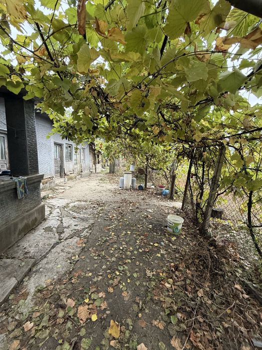 Vand Teren 970 mp cu casă + anexe, Stănești–Bălănu