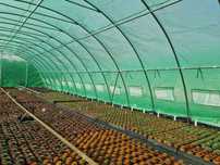 Solar 6x14 m polietilenă armată 180g/m², țevi galvanizate 38 x 1,2mm.