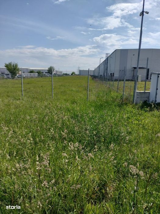 Teren intravilan suprafata 6250mp Strada Narciselor