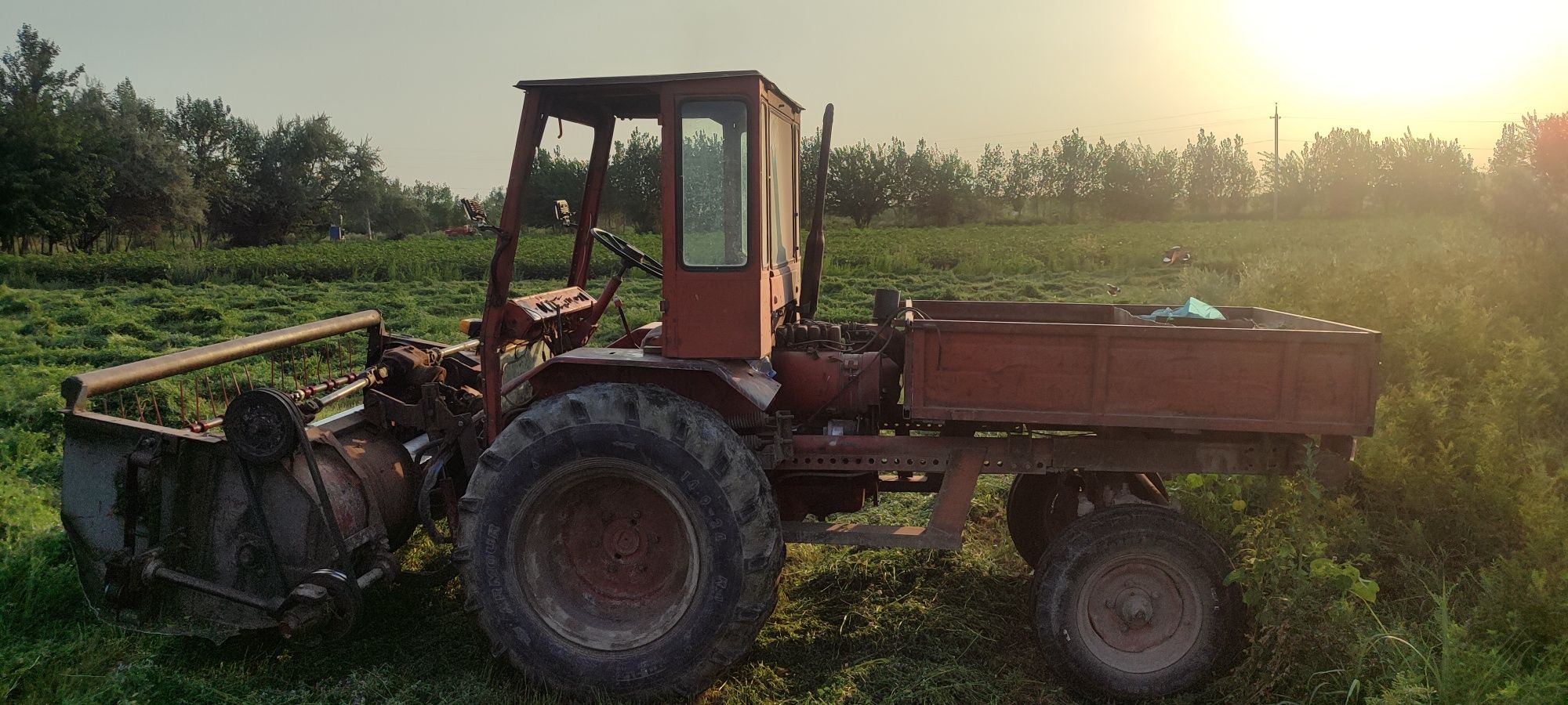 Traktor t16 beda oʻrgich
