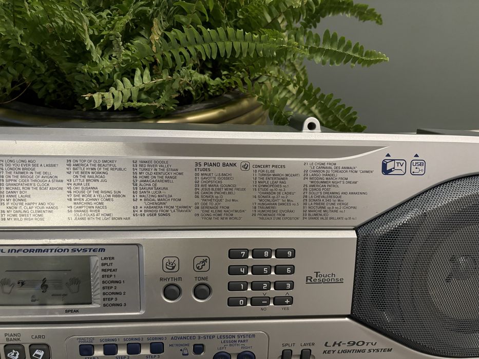 Vand orga Casio, pret 500 lei