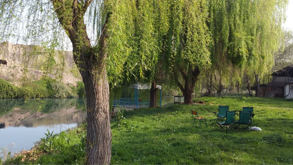 Продается дача на природе не доезжая ташморя