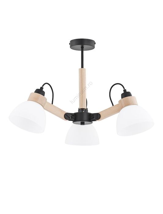 Lustră DANTONA aplicată pe tavan, 3xE27/15W/230V, negru/bej