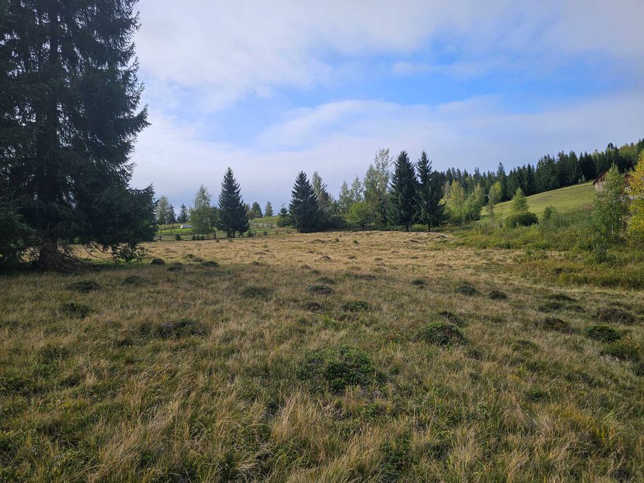 Teren intravilan de vanzare in Bucovina Fundu Moldovei zona Delut
