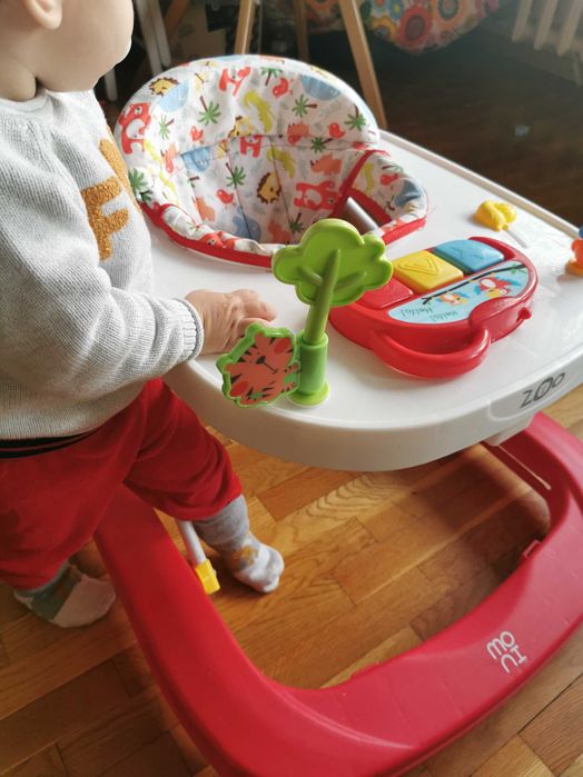 Проходилка Moni Zoo