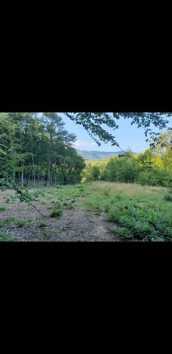 Продава се Парцел в Априлци - 2200 кв.м за 10 €/кв.м - Снимка #5