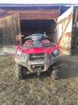 Kawasaki brute force 750
