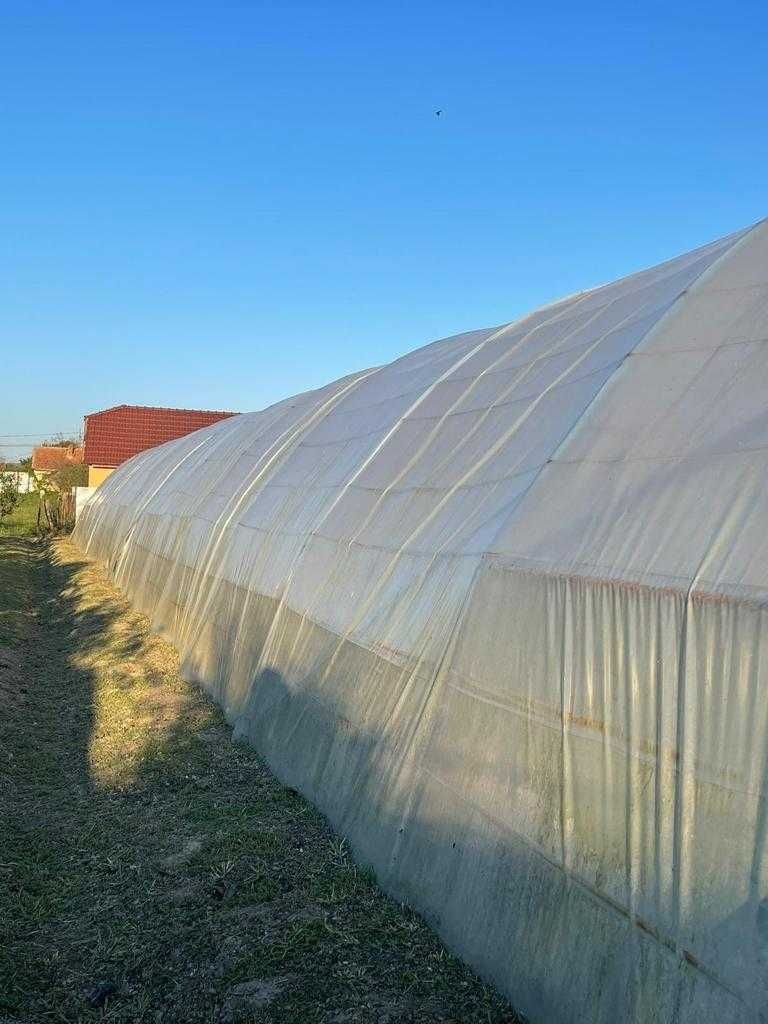 Solar legume 32Mx6.2M