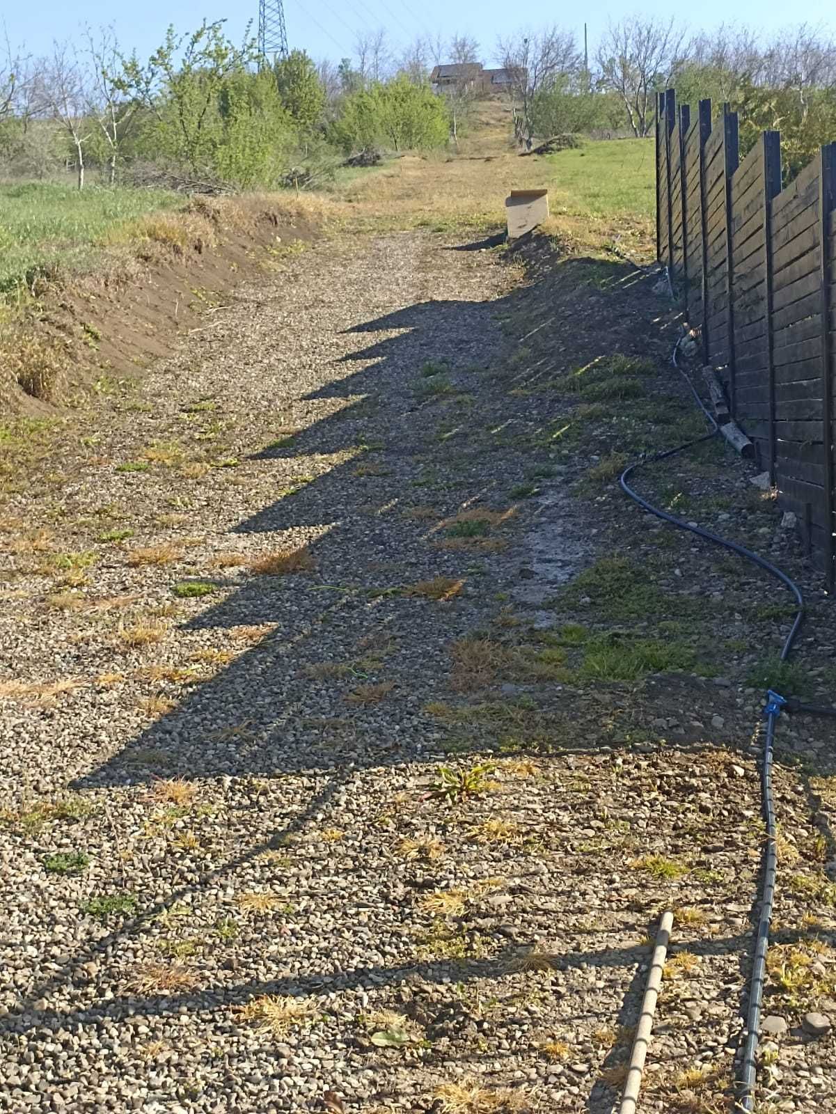 Teren intravilan Iasi Rediu