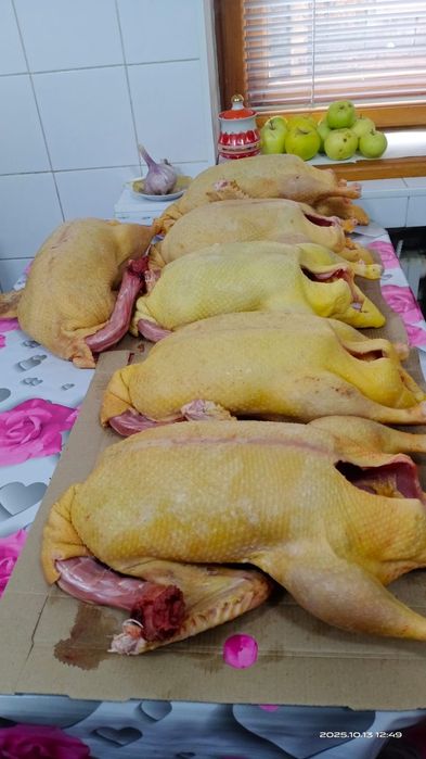 Продам тушки индоуток.
