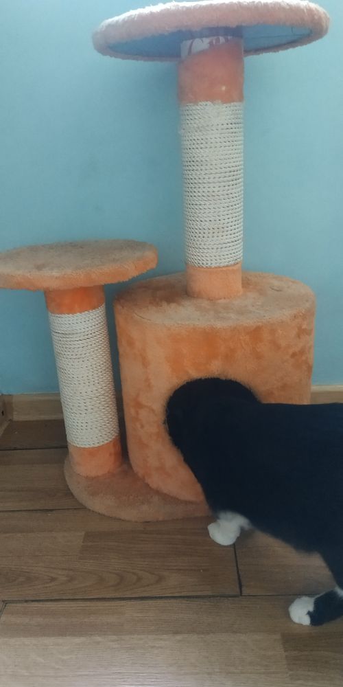 Домик для кота, кошачий домик, лежанка
