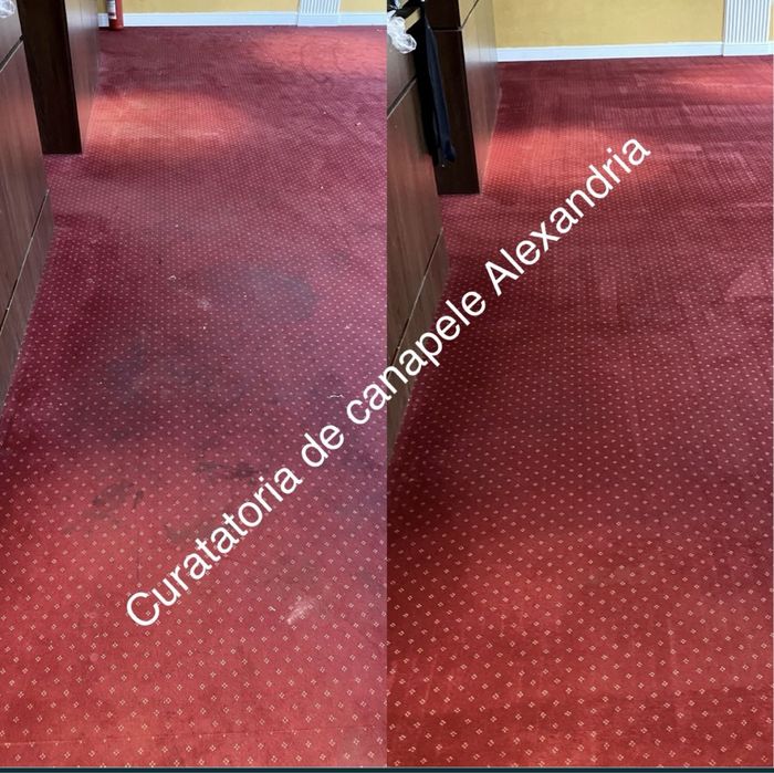 Curatare / întreținere - mochete - canapele - tapiterie auto