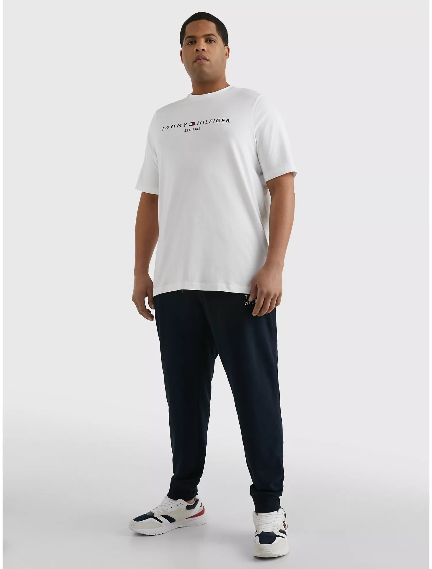 Big and tall slim fit Hilfiger logo T-Shirt