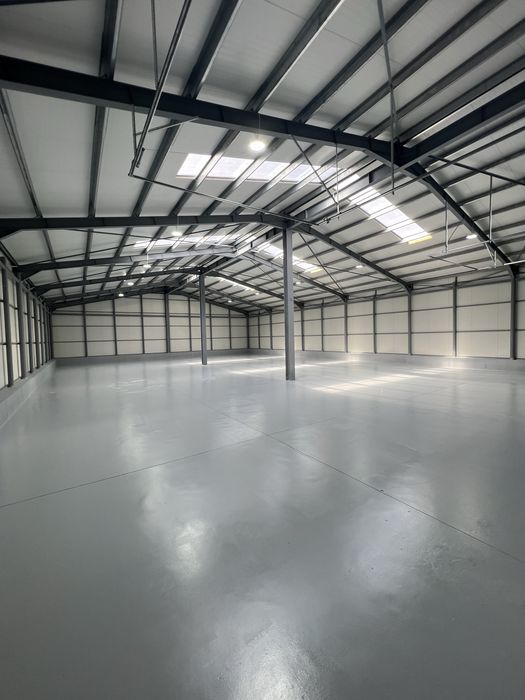 Hale de inchiriat Ovidiu Constanta / Langa autostrada A4