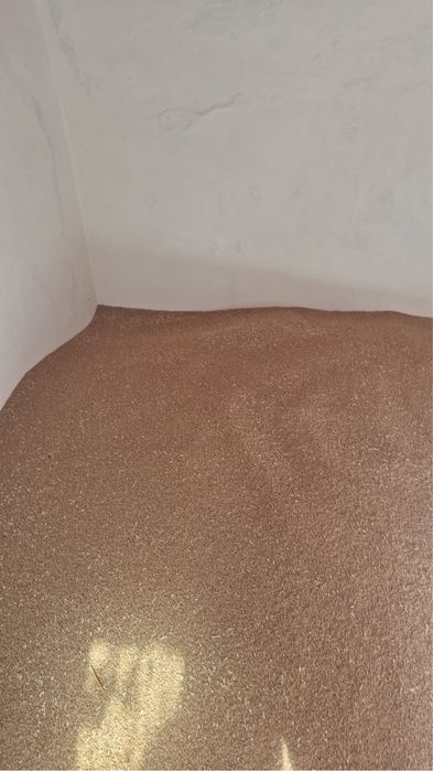 Grau de vanzare satul roit 1,20 kilogramul