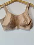 Anita sutien dama