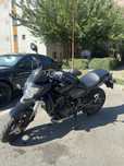 Honda Hornet, PC41 - CB600F (2010)