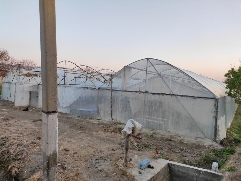 Иссиқхона 5,5 сотиқли arzonga tez sotiladi