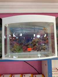 Овальный аквариум