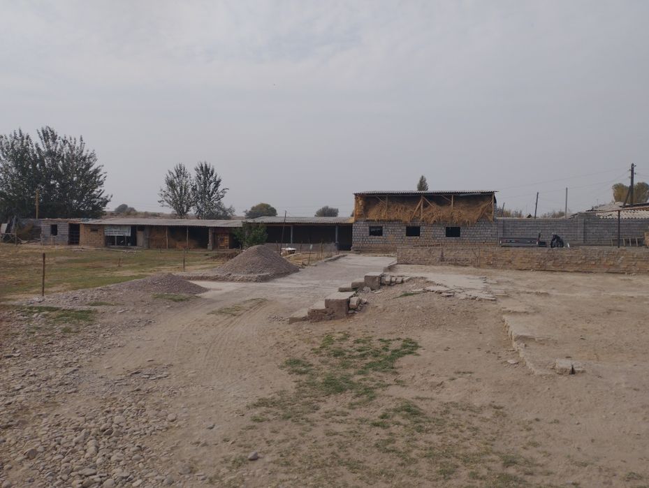 3xonali kafolati bilan