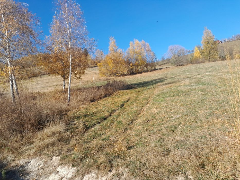 Teren extravilan