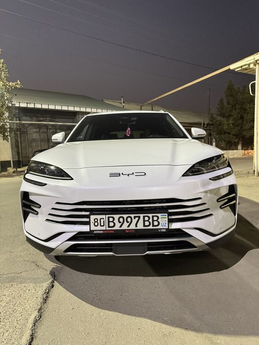 Bvd song plyus chempion