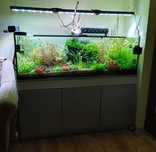 Acvariu 375 litri complet echipat