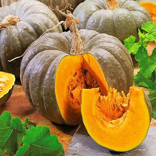 Продаю домашнюю тыкву