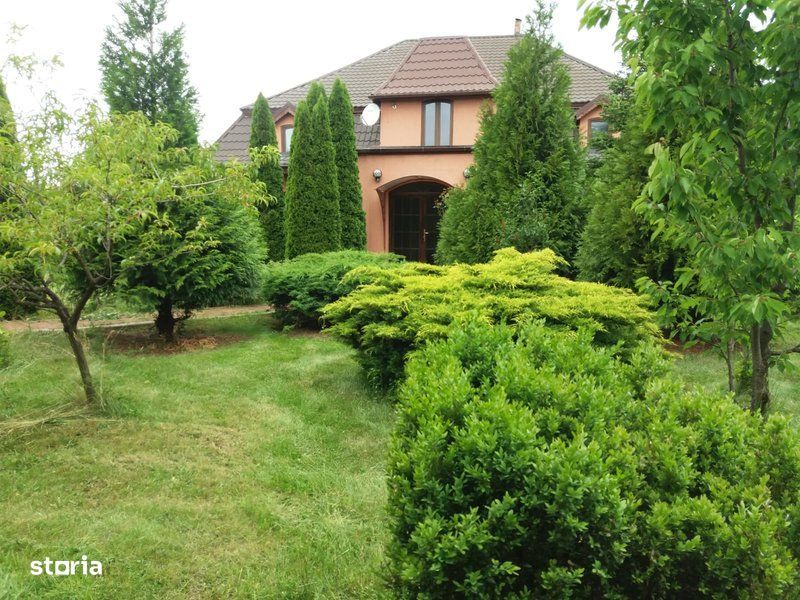 Ialomița,Popasul Sinesti,Livedea,P+M,Curte amenajata