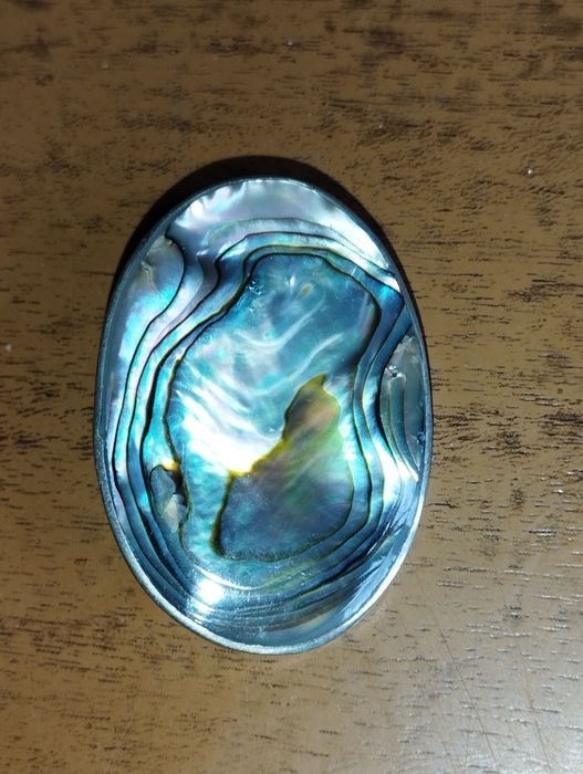 Broșă  Abalone, eleganta