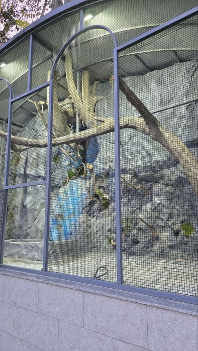 Вольер кафас водопад барельеф бассейн хизматларни таклиф киламиз