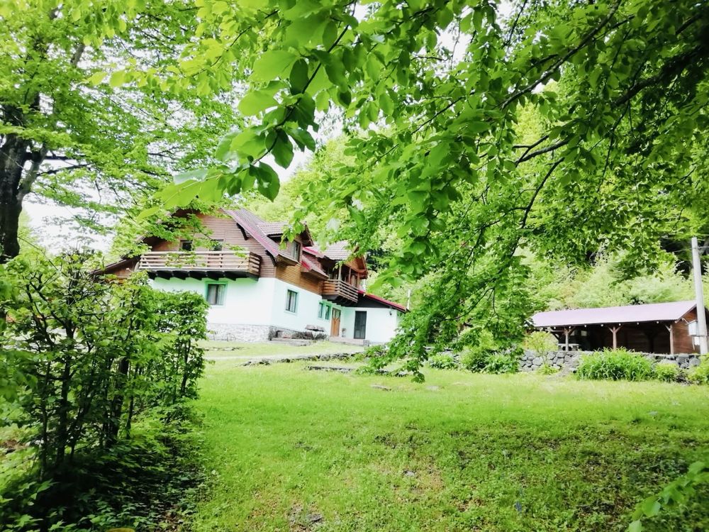 Cabana de închiriat Valea Avrigului Piscina/Ciubar