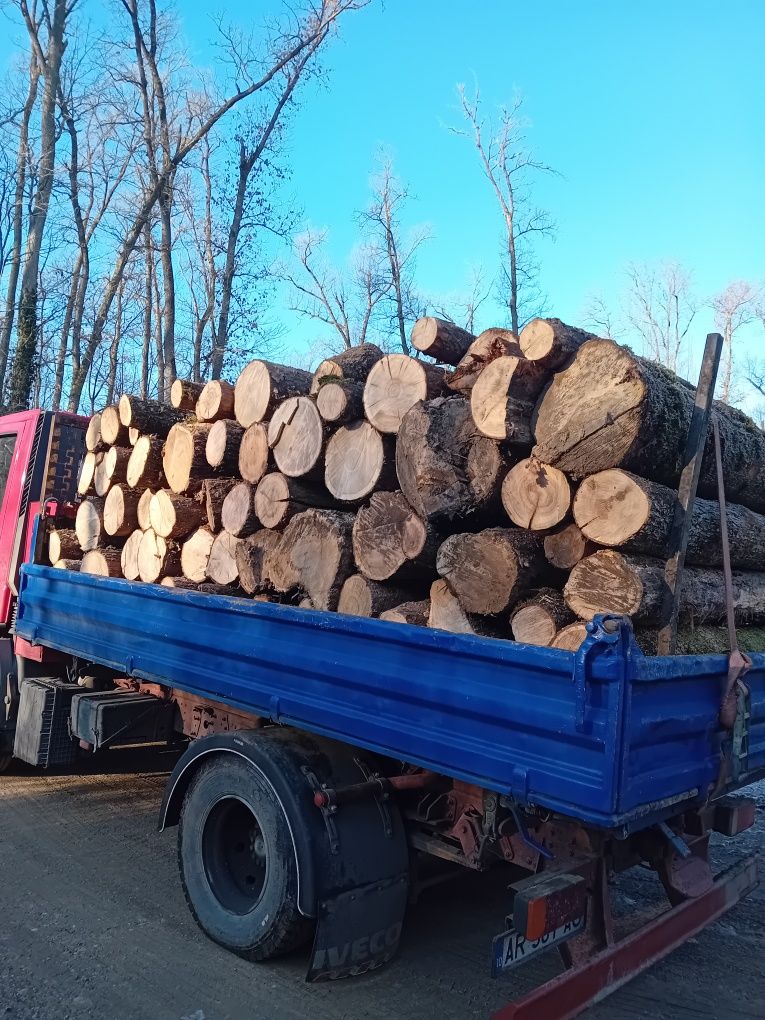 Ducem la.comanda Lemne de foc de esența tare.cer.carpan.garnita .salca
