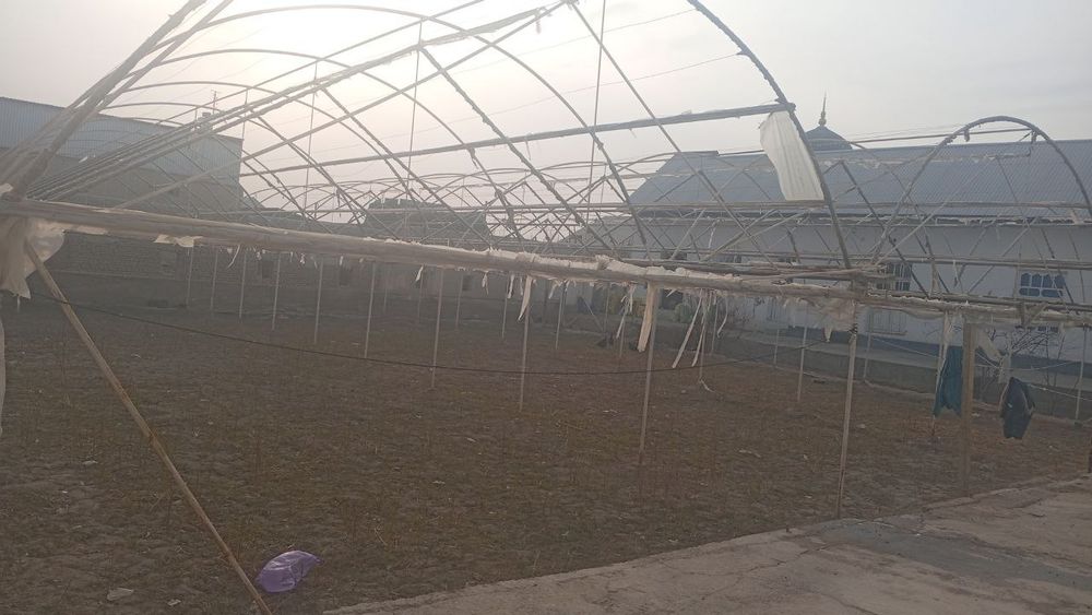 Parnik Teplitsa srochniga sotiladi arzon