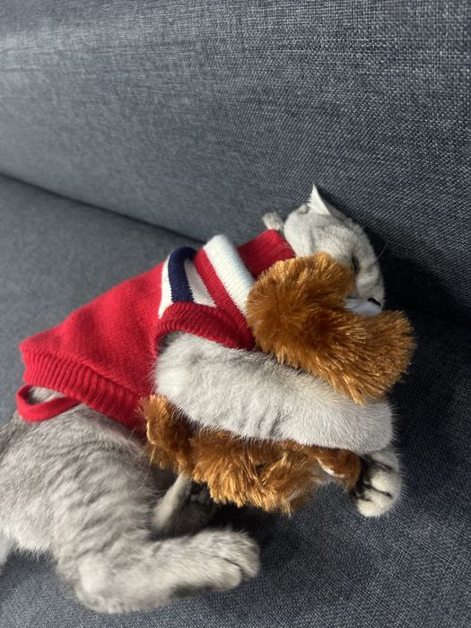 Ismi  dudu soglom kafolatlangan