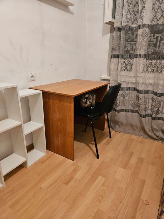 Девушке  изолированную