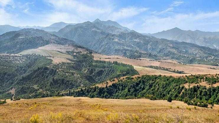 Продаю Участок 8 Соток с домом ремонт .Городе Паркент,махалля Кушшукур