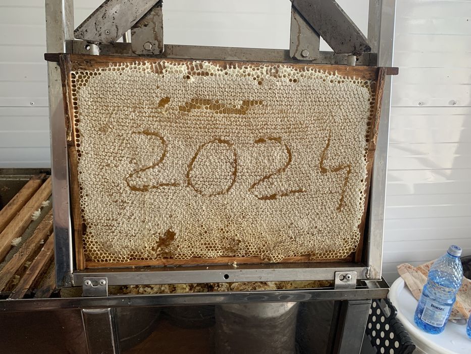 Miere de tei En-gros